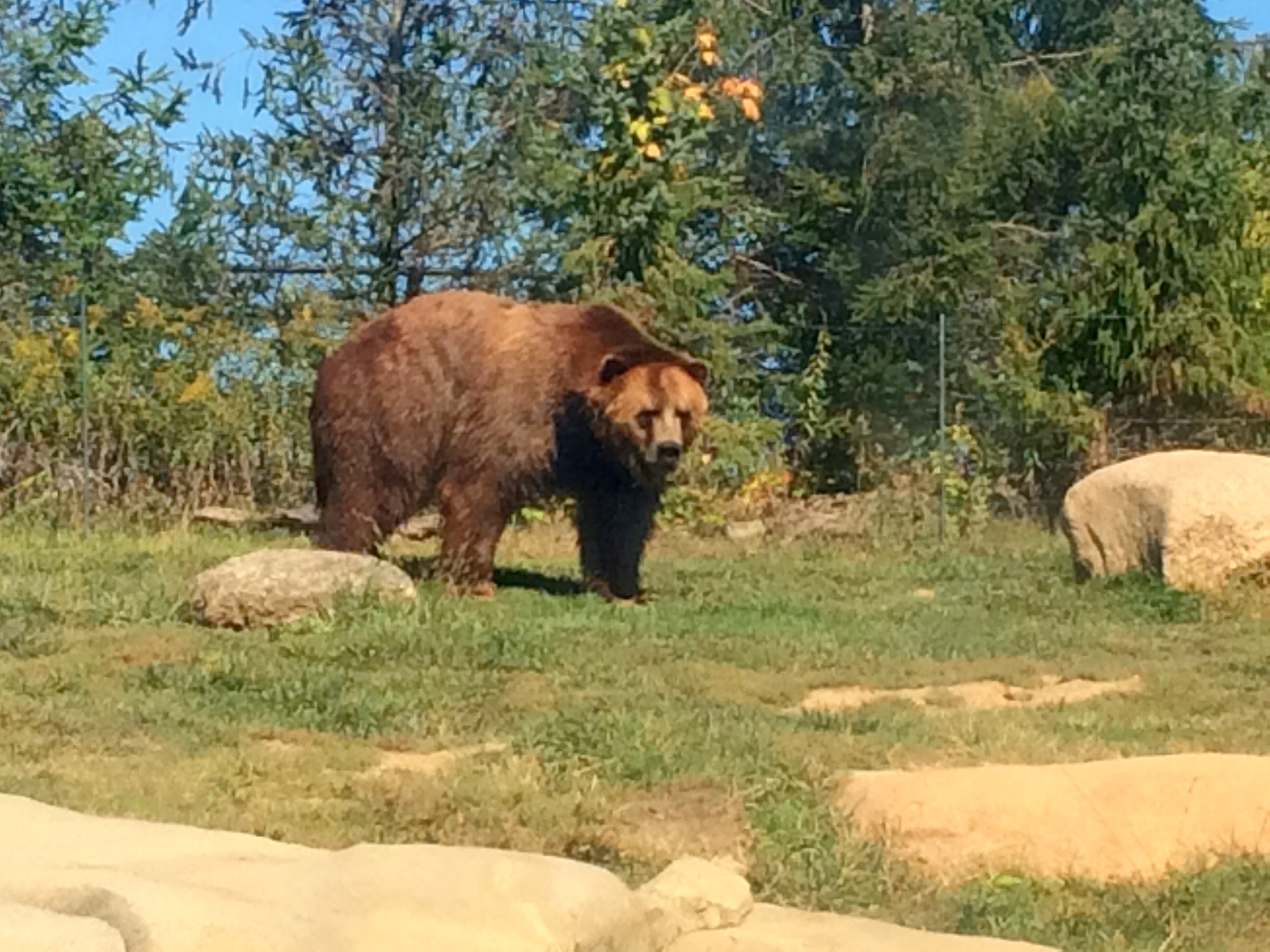 admission to columbus zoo