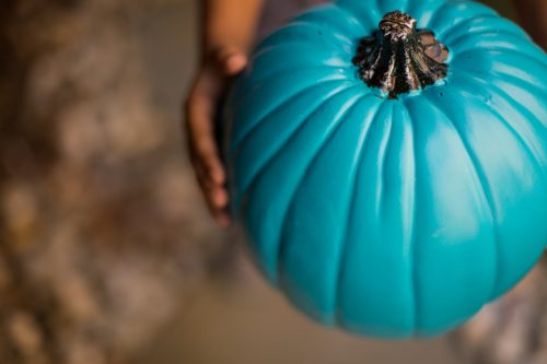 Teal Pumpkin Project