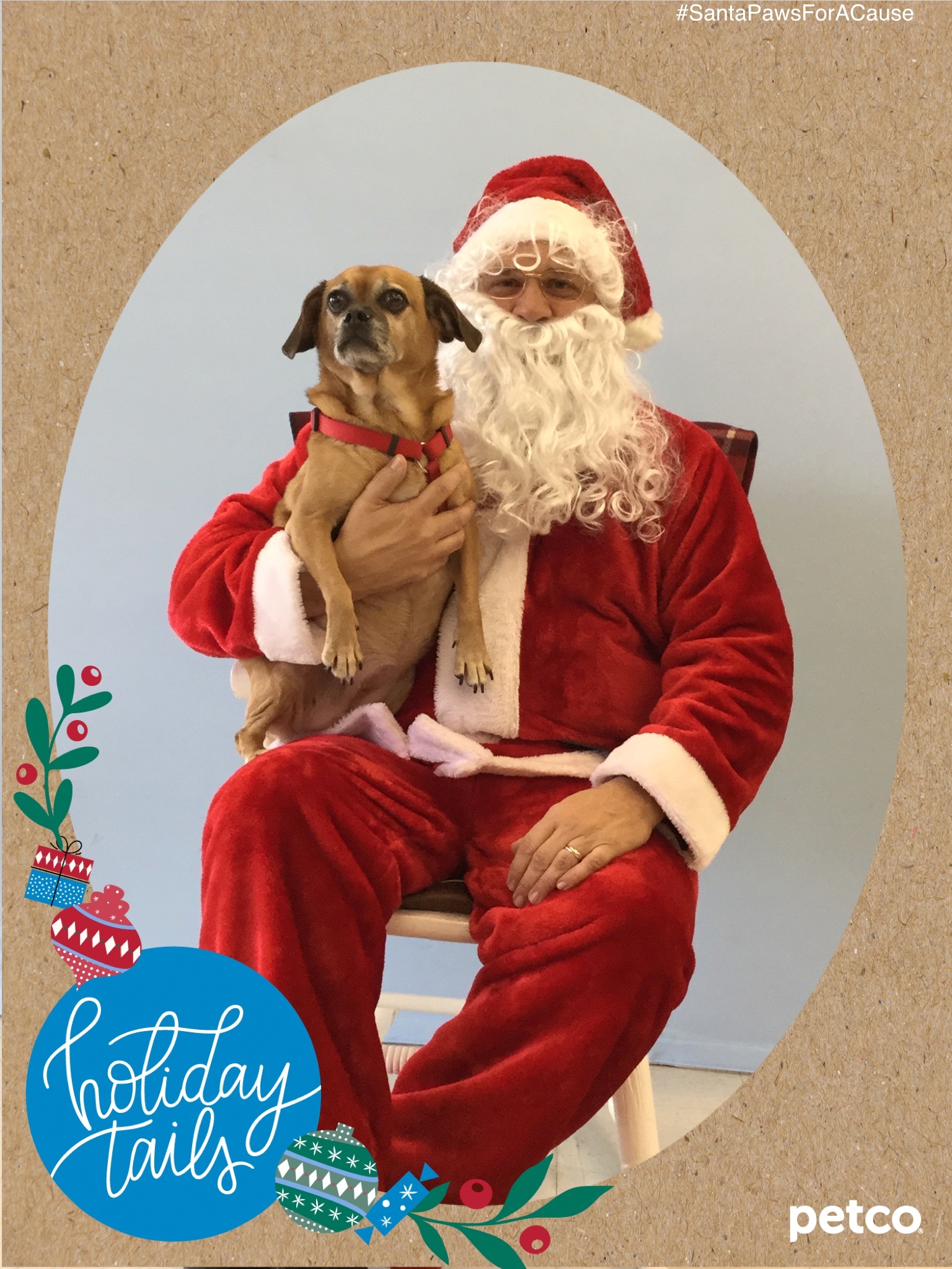 petco santa with dog Columbus on the Cheap