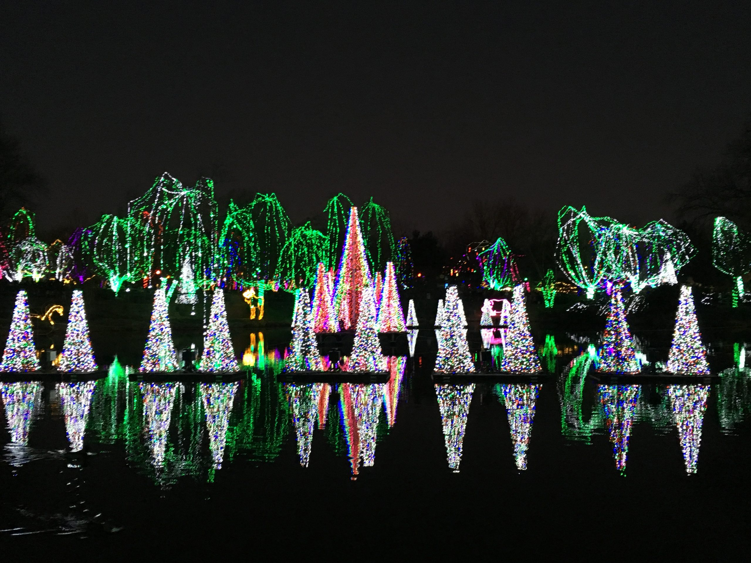 Wildlights Columbus Zoo - Columbus on the Cheap