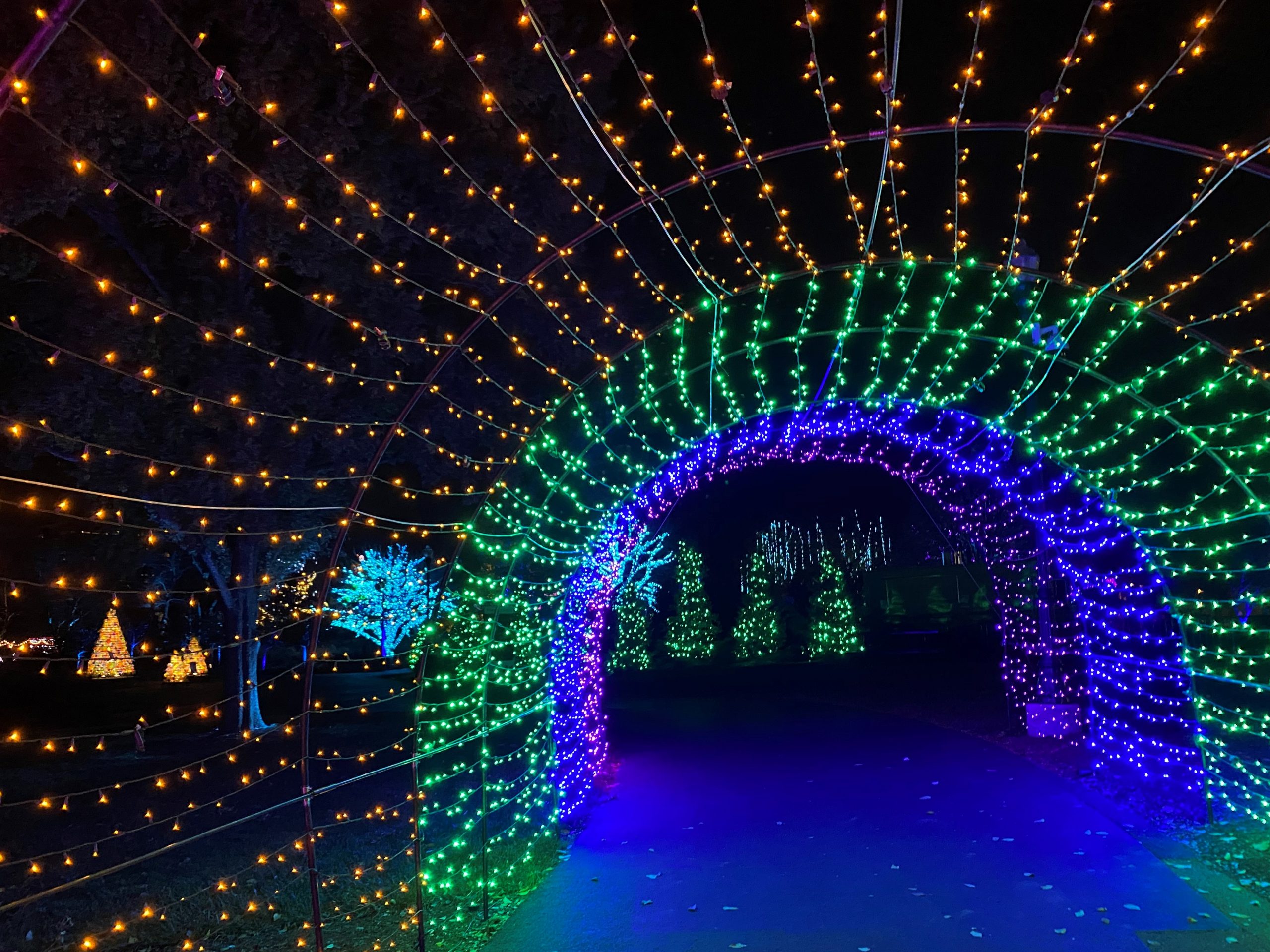 Franklin Park Conservatory Aglow 2 - Columbus on the Cheap