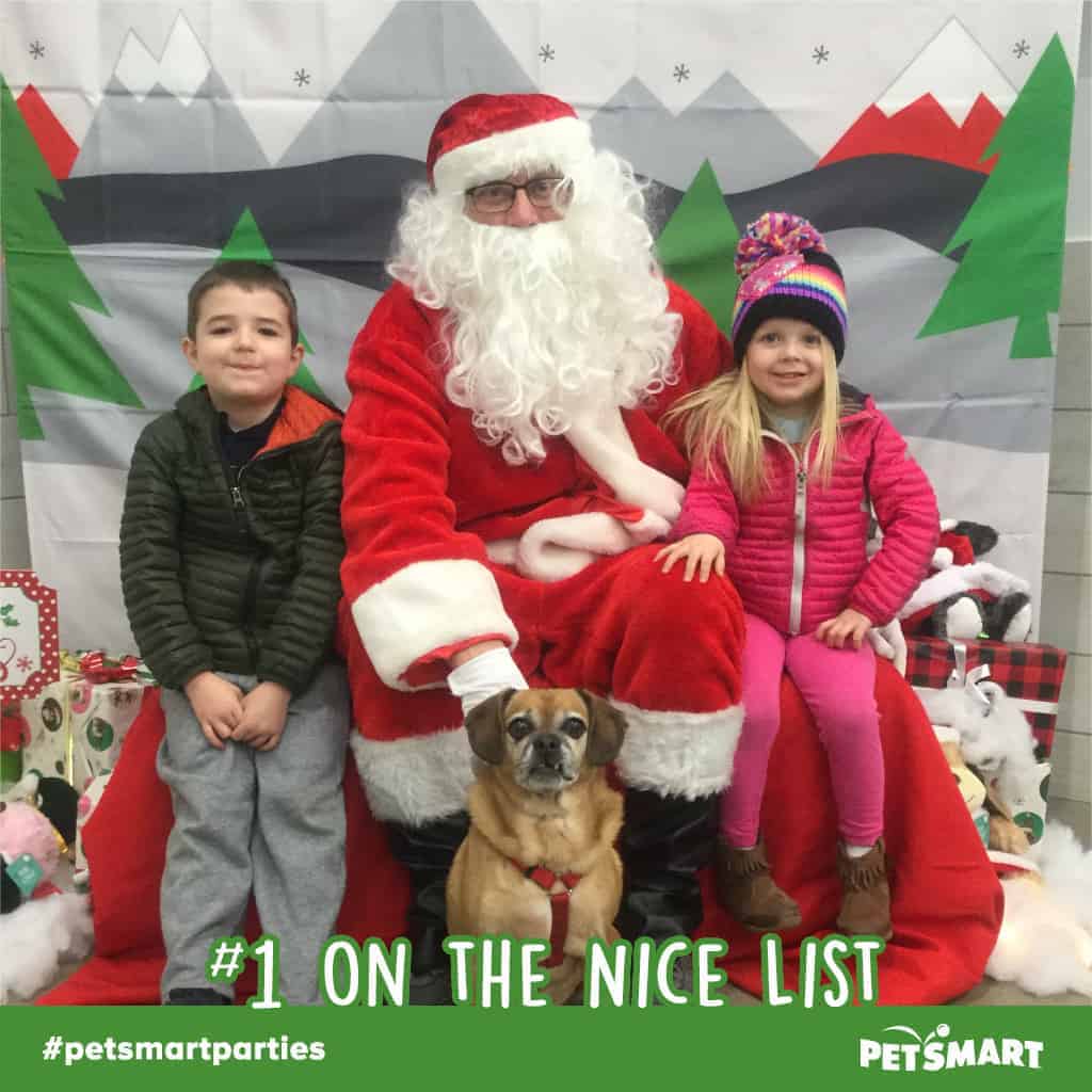 Take Your Furry Friends For Free Pet Photos With Santa At PetSmart